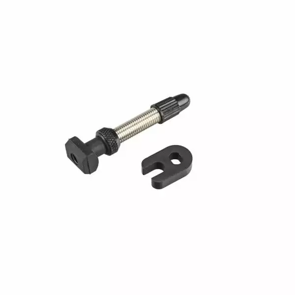 Dt-swiss Valve Tubeless DT SWISS ROAD 3 Dt-swiss Valve Tubeless DT SWISS ROAD